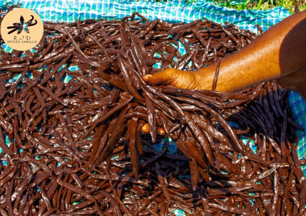 vanille rjd spices vanilla
